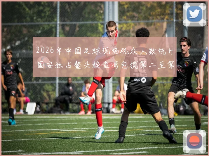 2026年中国足球现场观众人数统计国安独占鳌头梭鱼湾包揽第二至第七位